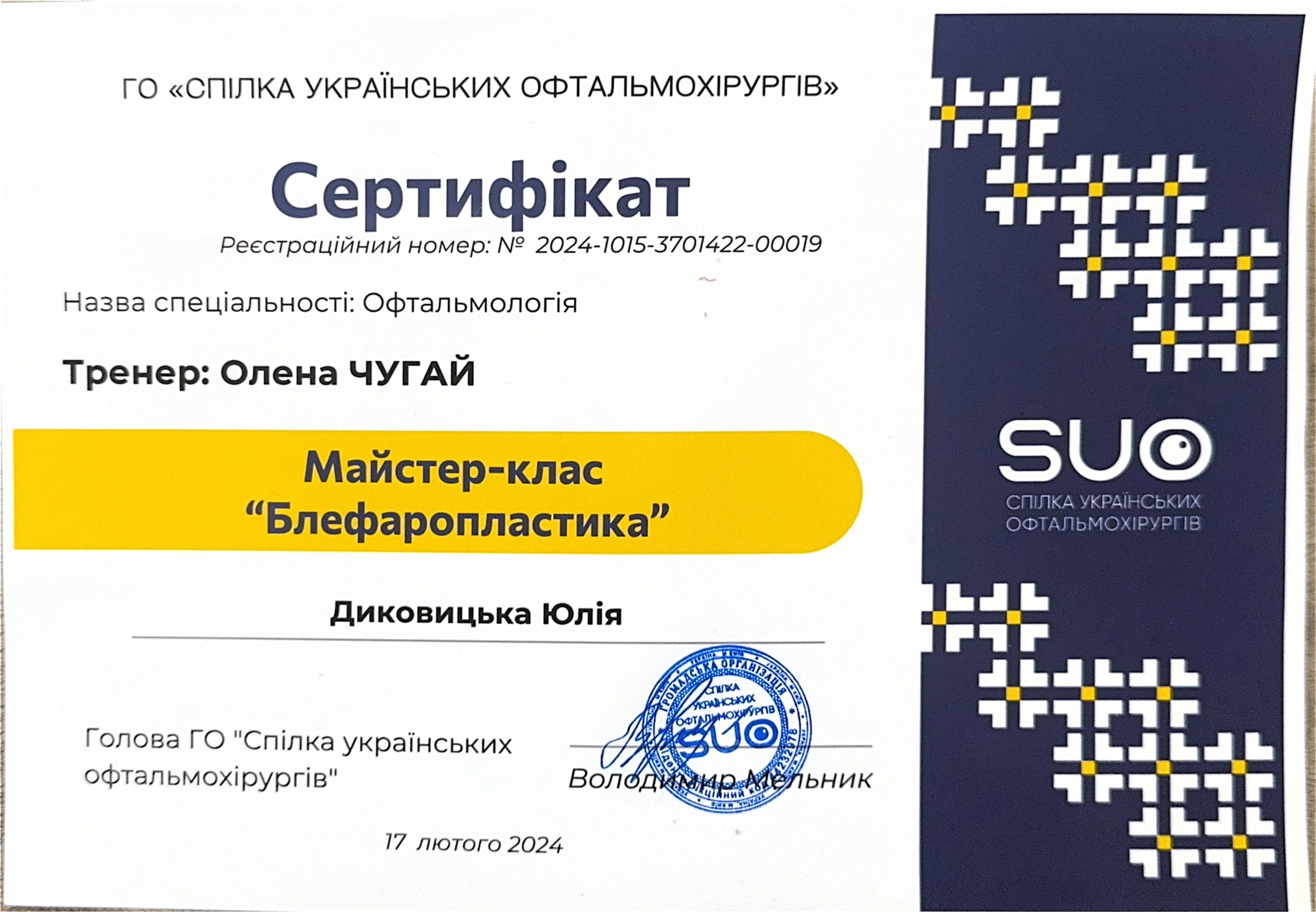 Диковицька Юлія Олегівна – Зображення 31